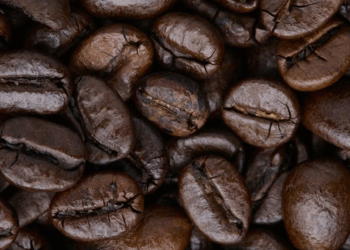 Кофе в зернах: достоинства и виды, оптовые продажи кофе в зернах