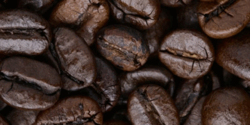 Кофе в зернах: достоинства и виды, оптовые продажи кофе в зернах