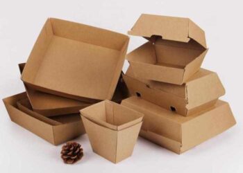 Упаковка для еды на вынос: требования к материалам и выбор форматов