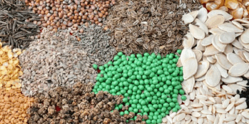 Отзывы о сайте Семяныч: что важно знать перед заказом